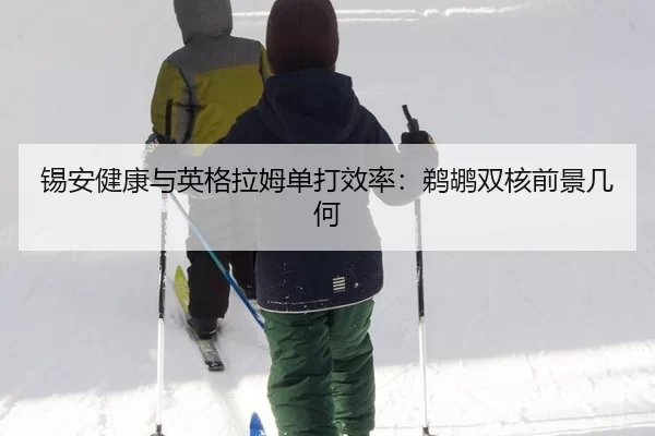 锡安健康与英格拉姆单打效率：鹈鹕双核前景几何 | MKSports