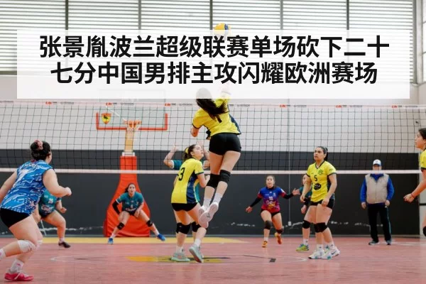 volleyball arena