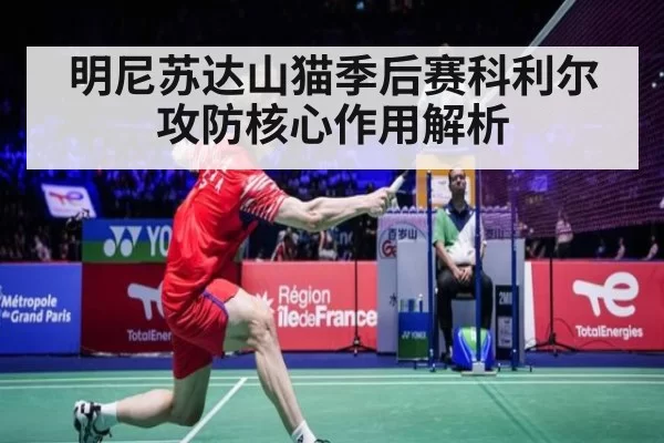 明尼苏达山猫季后赛科利尔攻防核心作用解析(MKSports)